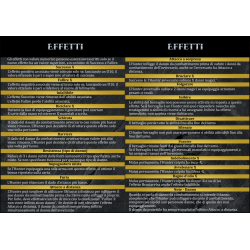 Portal Hunters – Bustine Avventura Alpha Limited Edition